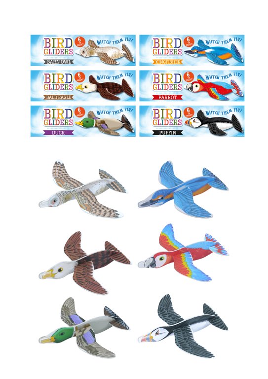 Bird Gliders (16cm) 6 Assorted Designs